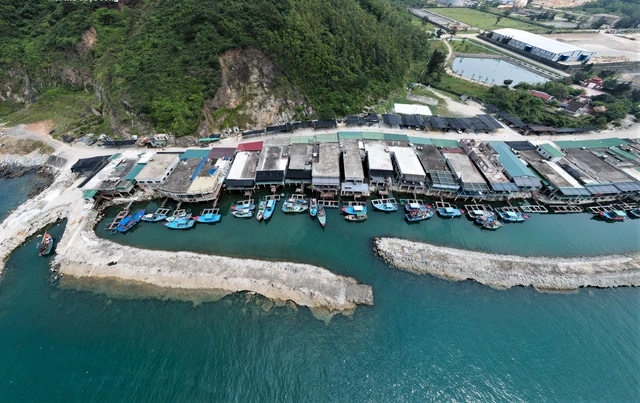 Mùa lộc biển: Theo chân ngư dân săn 'vàng đen'- Ảnh 3.