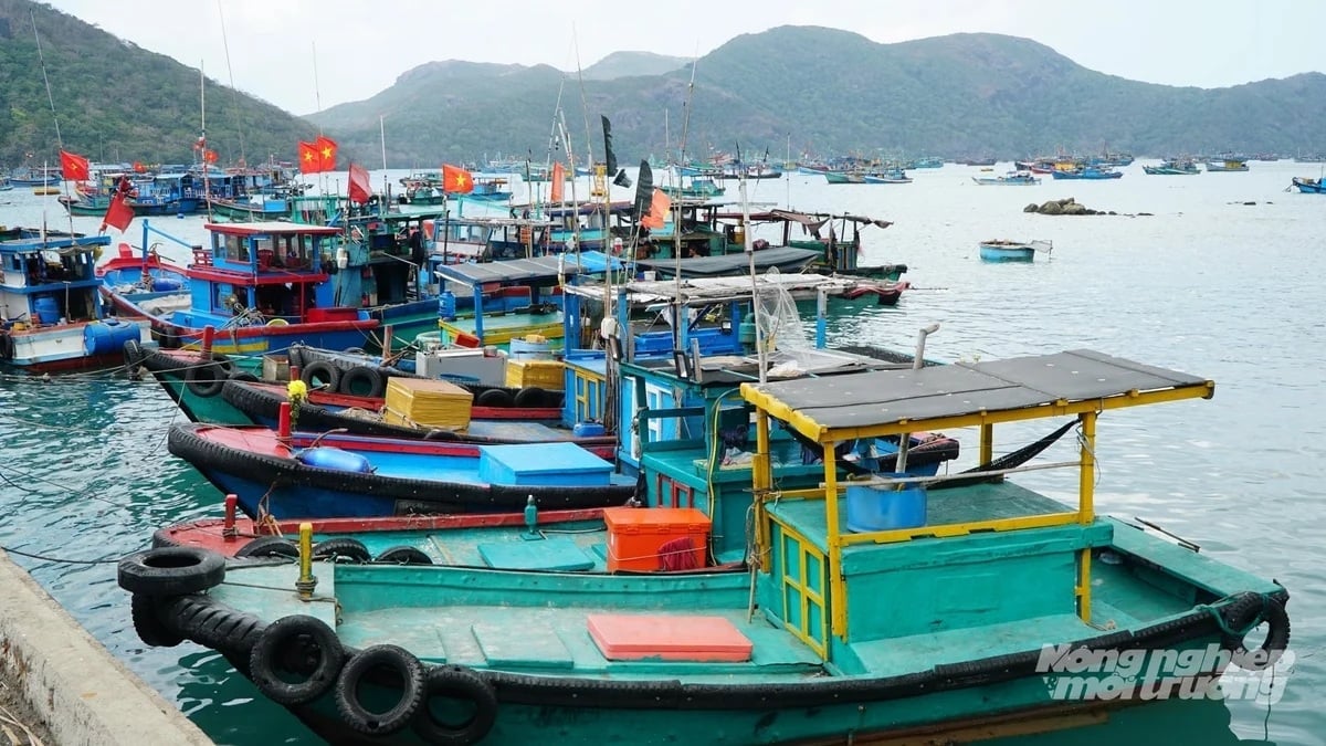 TP.HCM sẽ tổ chức rà soát, xử lý dứt điểm các trường hợp vi phạm, hoàn thành trước ngày 30/4/2026. Ảnh: Lê Bình.