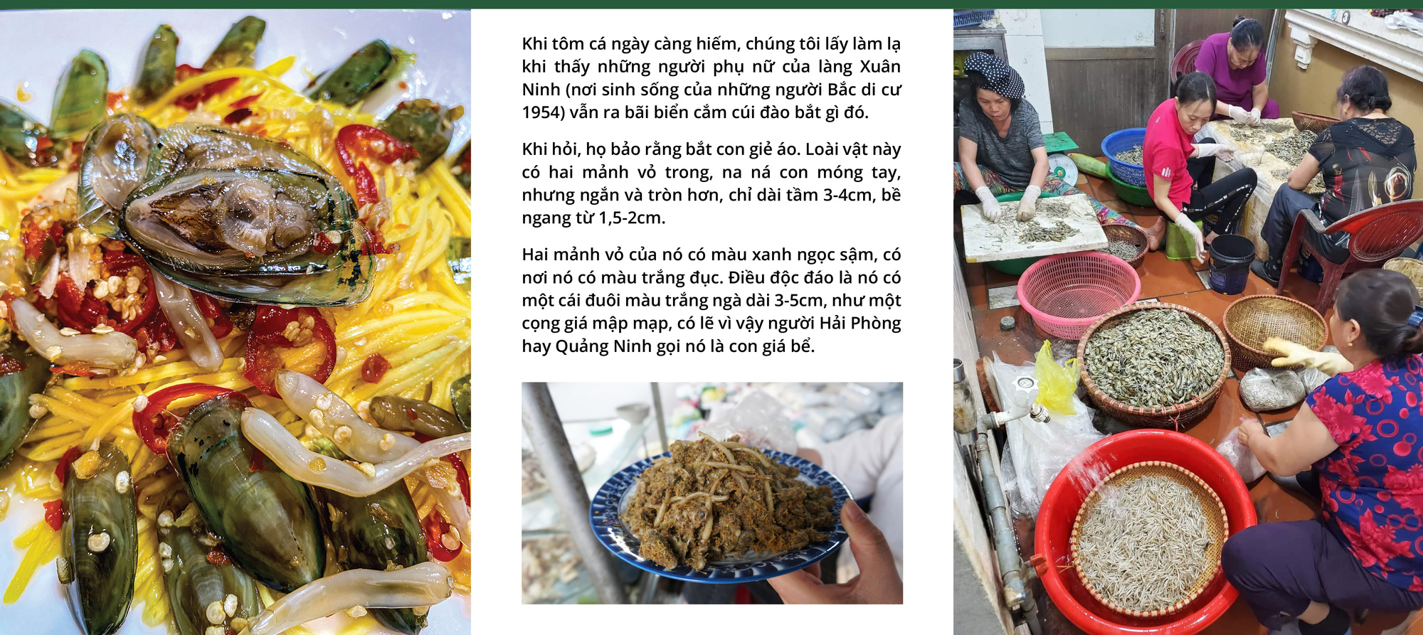 Giá bể, giẻ áo, cà xỉu và 500 triệu năm trên đĩa ăn - Ảnh 3. Giá bể, giẻ áo, cà xỉu và 500 triệu năm trên đĩa ăn - Ảnh 3.