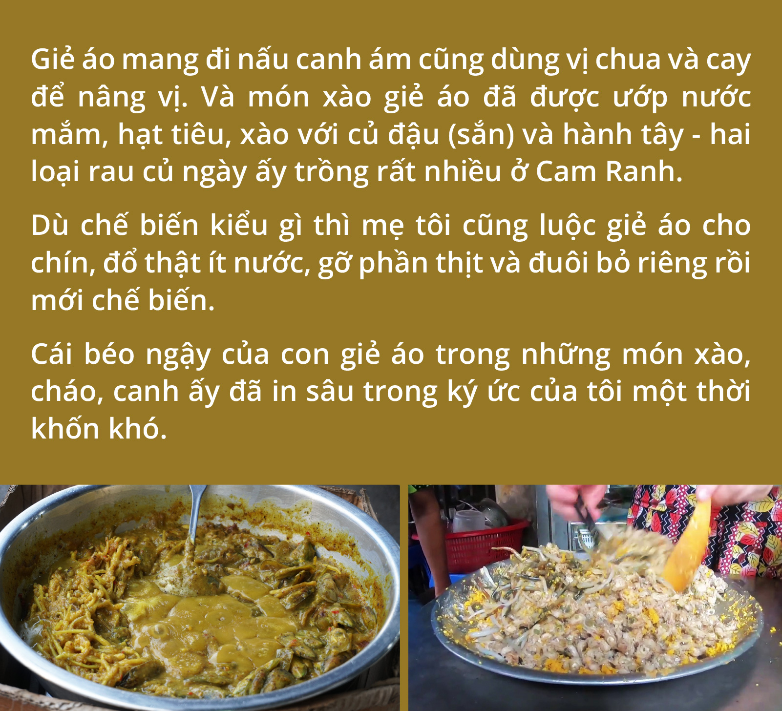 Giá bể, giẻ áo, cà xỉu và 500 triệu năm trên đĩa ăn - Ảnh 7. Giá bể, giẻ áo, cà xỉu và 500 triệu năm trên đĩa ăn - Ảnh 7.