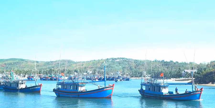 Chính sách hỗ trợ giải bản tàu cá và chuyển đổi nghề cho ngư dân thể hiện quyết tâm của tỉnh trong phát triển thủy sản theo hướng bền vững. Ảnh: N.T Chính sách hỗ trợ giải bản tàu cá và chuyển đổi nghề cho ngư dân thể hiện quyết tâm của tỉnh trong phát triển thủy sản theo hướng bền vững. Ảnh: N.T