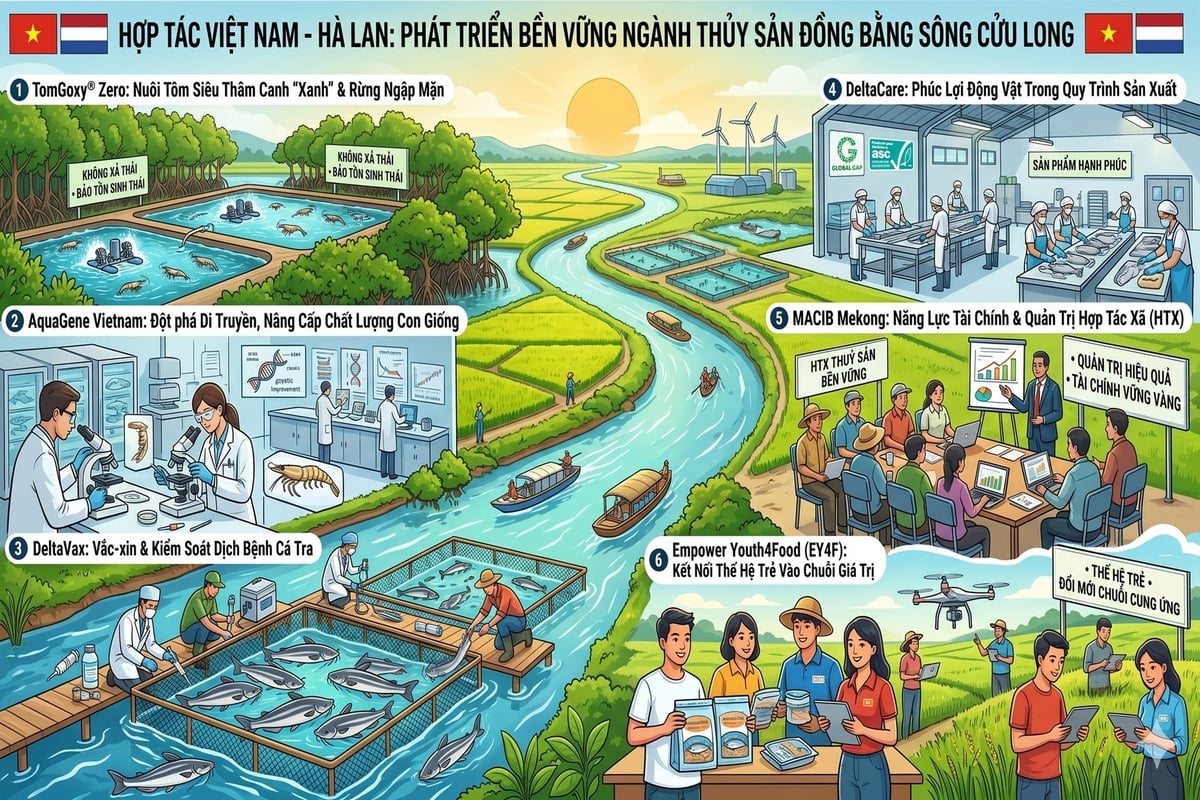 Chương trình combi-track hướng tới phát triển thủy sản bền vững tại vùng ĐBSCL. Ảnh: Nguyễn Thủy.