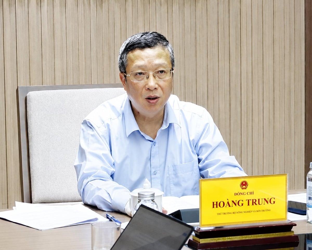 Thứ trưởng Hoàng Trung chủ trì cuộc họp. Ảnh: Linh Linh.