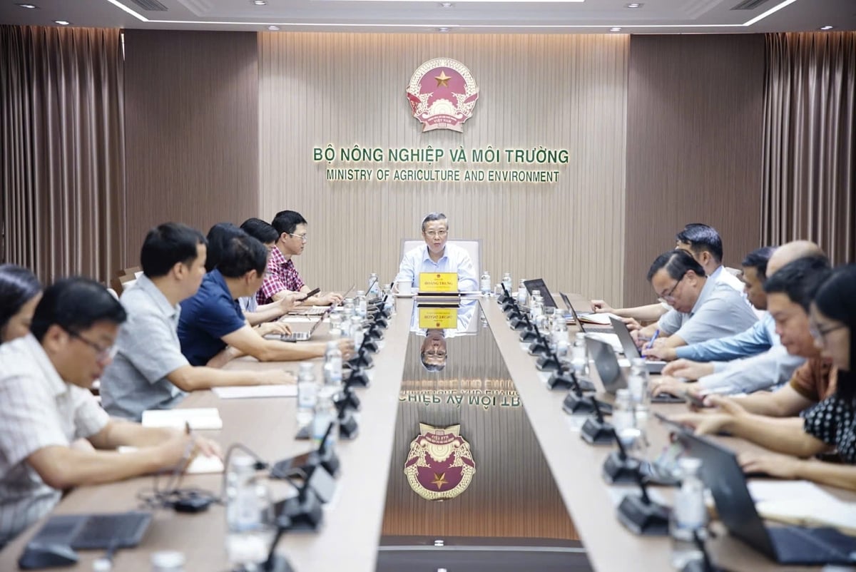 Sáng 28/5, Thứ trưởng Bộ Nông nghiệp và Môi trường Hoàng Trung chủ trì cuộc họp đánh giá tiến độ triển khai hệ thống truy xuất nguồn gốc nông, lâm, thủy sản. Ảnh: Linh Linh.