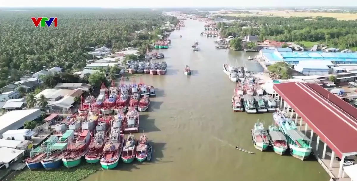 An Giang hỗ trợ nâng cấp thiết bị giám sát hành trình tàu cá - Ảnh 1.