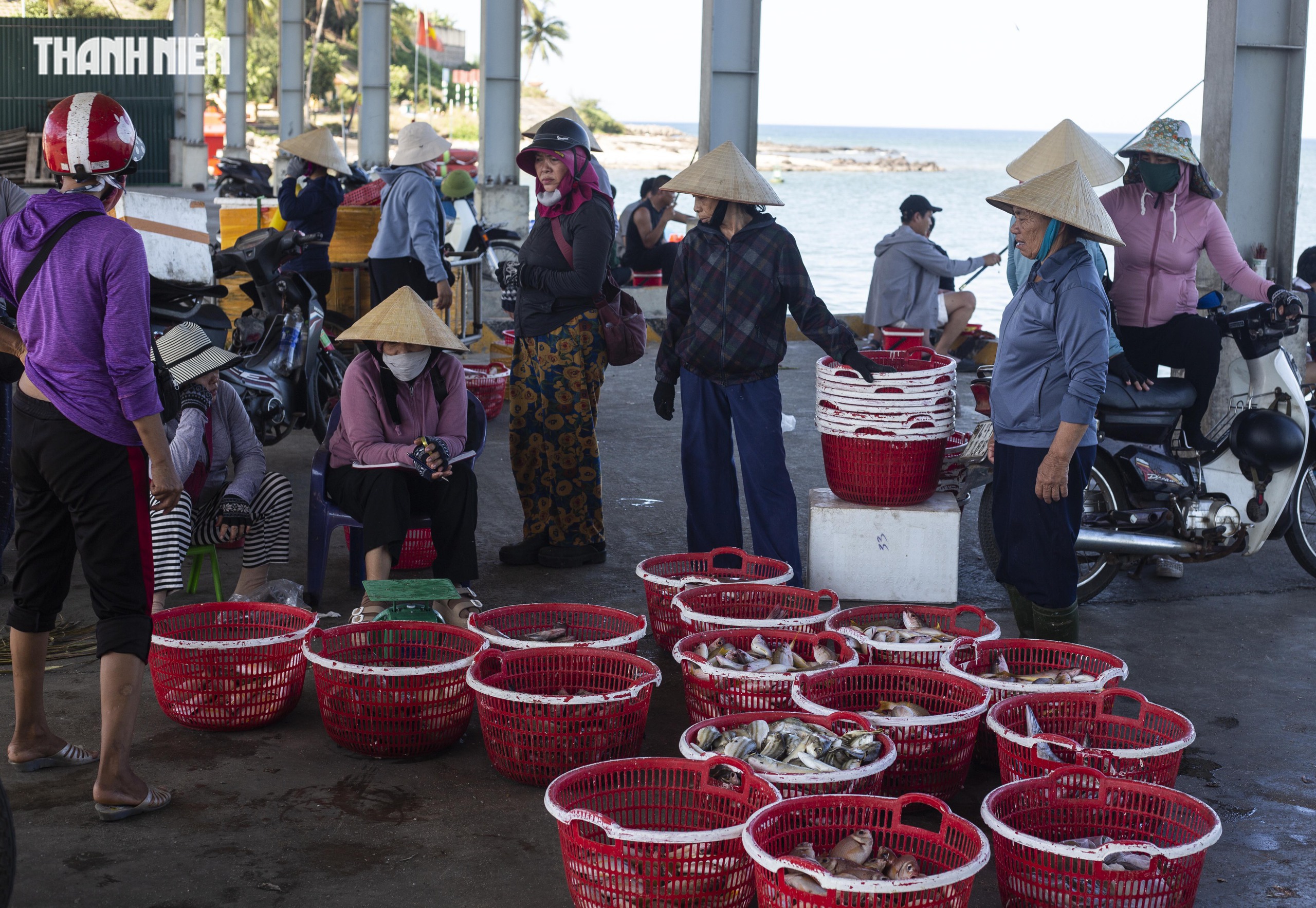 Chợ cá Cửa Tùng tấp nập mỗi chiều, du khách 'canh giờ' săn hải sản tươi rói- Ảnh 2.