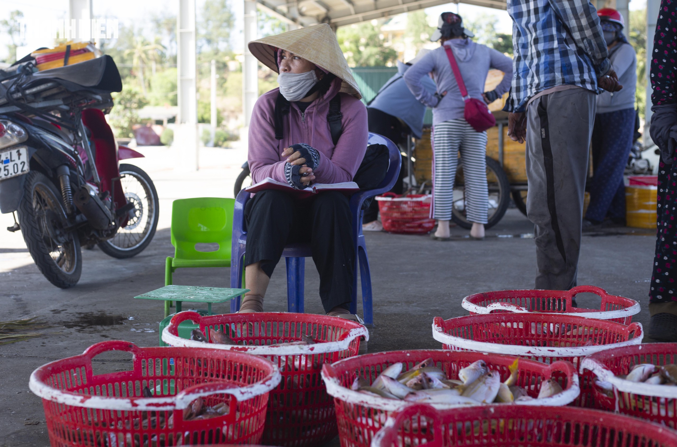 Chợ cá Cửa Tùng tấp nập mỗi chiều, du khách 'canh giờ' săn hải sản tươi rói- Ảnh 3.