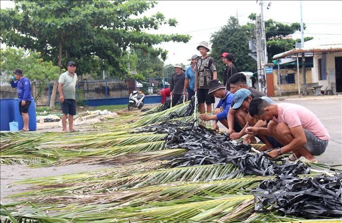 Độc đáo nghề dựng "nhà" dưới biển đón mùa cá Nam Chú thích ảnh