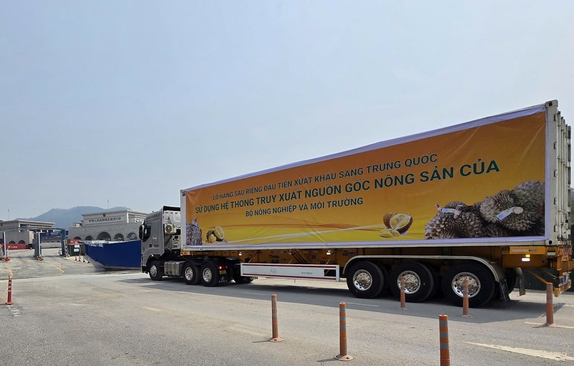 Mặt hàng sầu riêng được xuất khẩu thành công sang Trung Quốc, với đầy đủ thông tin truy xuất nguồn gốc. Ảnh: Hoàng Nghĩa. Mặt hàng sầu riêng được xuất khẩu thành công sang Trung Quốc, với đầy đủ thông tin truy xuất nguồn gốc. Ảnh: Hoàng Nghĩa.