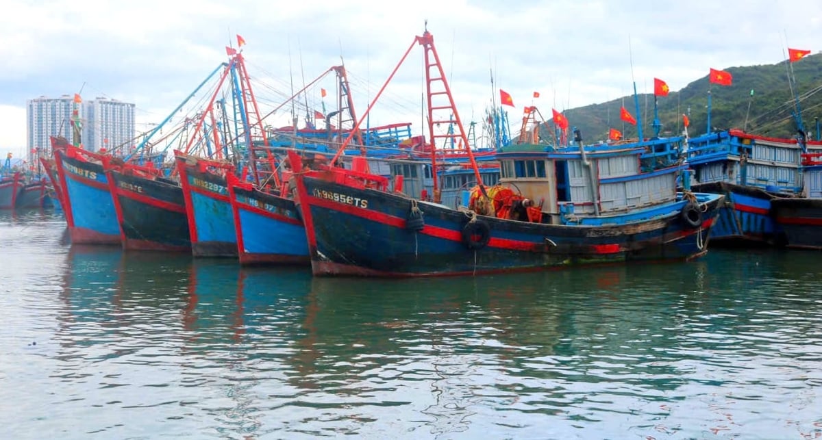 Tỉnh Khánh Hòa đã ban hành chính sách hỗ trợ giải bản đối với tàu cá. Ảnh: KS.