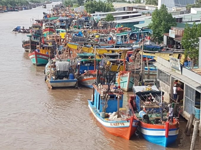 Cà Mau thành lập Tổ công tác liên ngành siết chặt kiểm tra chống khai thác IUU. Ảnh: Trọng Linh. Cà Mau thành lập Tổ công tác liên ngành siết chặt kiểm tra chống khai thác IUU. Ảnh: Trọng Linh.