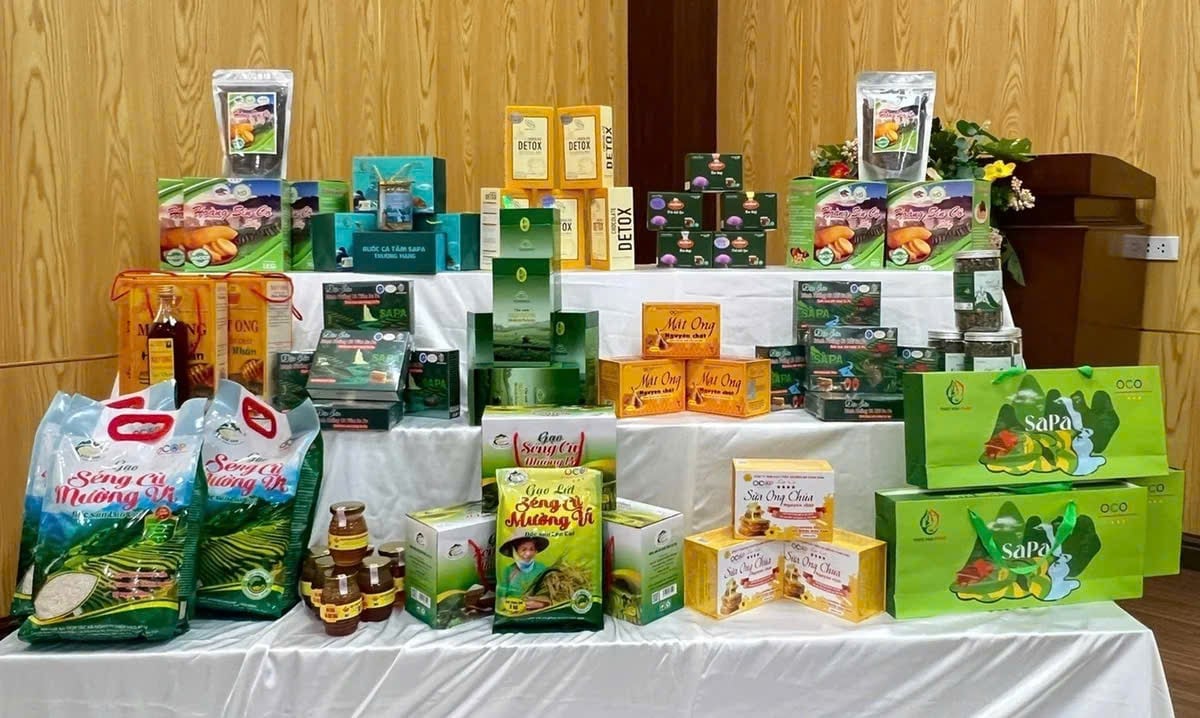 UBND cấp tỉnh tổ chức đánh giá sản phẩm OCOP cấp tỉnh ít nhất 2 đợt mỗi năm; Bộ Nông nghiệp và Môi trường tổ chức đánh giá sản phẩm OCOP 5 sao cấp quốc gia tối thiểu 2 đợt mỗi năm. Ảnh: Kim Thoa. UBND cấp tỉnh tổ chức đánh giá sản phẩm OCOP cấp tỉnh ít nhất 2 đợt mỗi năm; Bộ Nông nghiệp và Môi trường tổ chức đánh giá sản phẩm OCOP 5 sao cấp quốc gia tối thiểu 2 đợt mỗi năm. Ảnh: Kim Thoa.