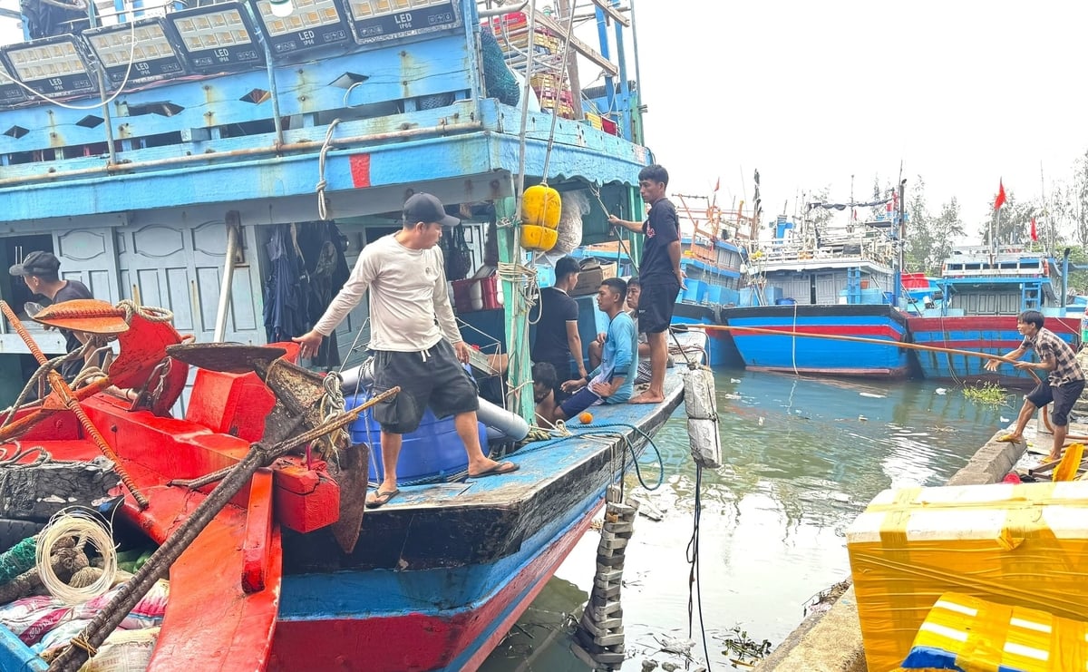 Quảng Ngãi yêu cầu các đơn vị, địa phương triển khai phòng chống khai thác IUU theo phương châm 'rõ người, rõ việc, rõ trách nhiệm'. Ảnh: L.K.