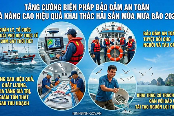 Tăng cường các biện pháp bảo đảm an toàn và nâng cao hiệu quả khai thác hải sản trong mùa mưa bão năm 2026