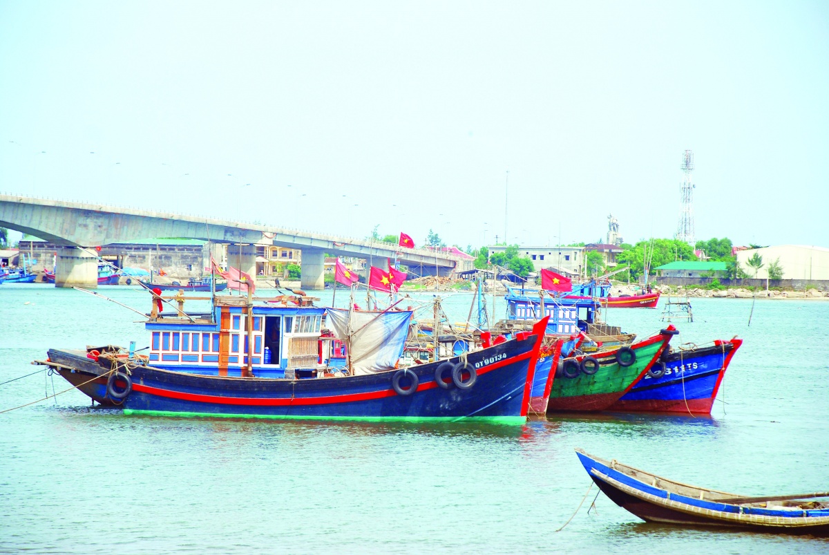Siết chặt quản lý tàu cá, quyết tâm đẩy lùi khai thác IUU Siết chặt quản lý tàu cá, quyết tâm đẩy lùi khai thác IUU