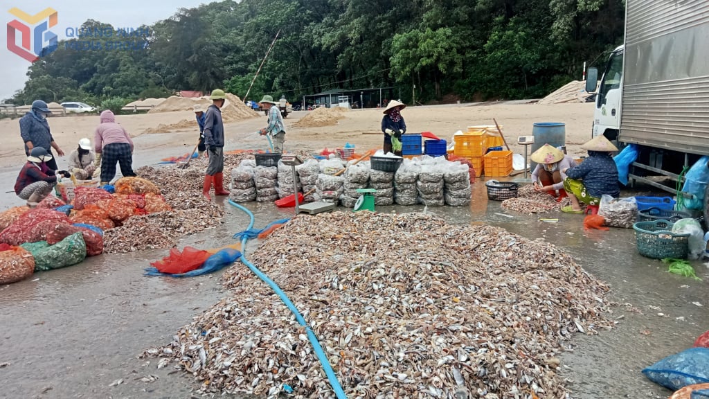 Khai thác thuỷ sản tại khu vực mũi Ngọc, phường Móng Cái 1.