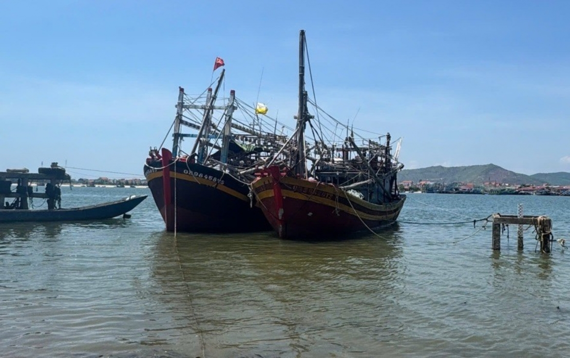 xử phạt 160 triệu đồng đối với chủ tàu cá vi phạm quy định về khai thác thủy sản hình ảnh 1 xu phat 160 trieu dong doi voi chu tau ca vi pham quy dinh ve khai thac thuy san hinh anh 1