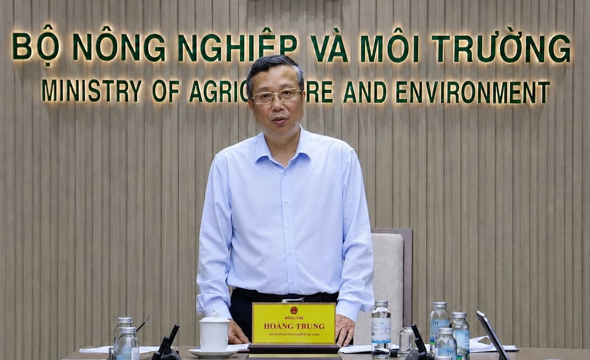 Thứ trưởng Hoàng Trung phát biểu chỉ đạo cuộc họp. Ảnh: Nguyễn Thủy.