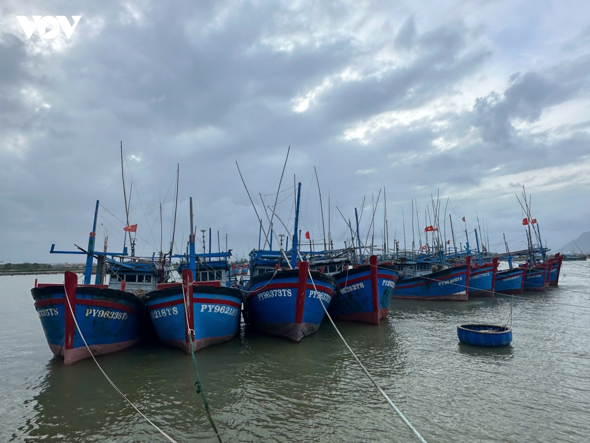 Đắk lắk giữ vững mục tiêu không để xảy ra vi phạm khai thác iuu hình ảnh 1 Dak lak giu vung muc tieu khong de xay ra vi pham khai thac iuu hinh anh 1