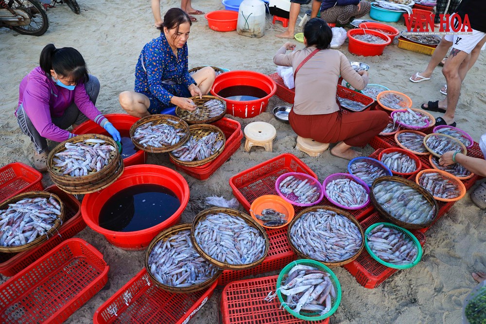 Du khách thích thú trải nghiệm “Đón nhịp chợ cá bình minh” - ảnh 4