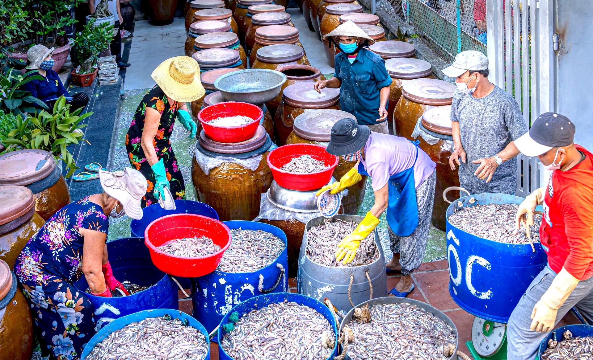 Bảo tồn nghề làm mắm giữ gìn hồn biển xứ Quảng