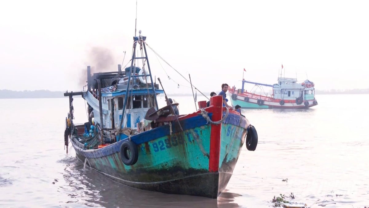 Tàu cá ra, vào cảng cá Trần Đề phục vụ khai thác hải sản trong 6 tháng đầu năm 2026. Ảnh: Văn Vũ.