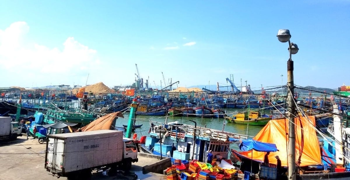 Cảng cá Quy Nhơn (phường Quy Nhơn, Gia Lai) - nơi có số lượng tàu thuyền neo đậu quá đông, thường xuyên trong tình trạng chật chội nên ngư dân xã Cát Tiến lựa chọn đưa tàu đến nơi khác neo đậu. Ảnh: V.Đ.T. Cảng cá Quy Nhơn (phường Quy Nhơn, Gia Lai) - nơi có số lượng tàu thuyền neo đậu quá đông, thường xuyên trong tình trạng chật chội nên ngư dân xã Cát Tiến lựa chọn đưa tàu đến nơi khác neo đậu. Ảnh: V.Đ.T.