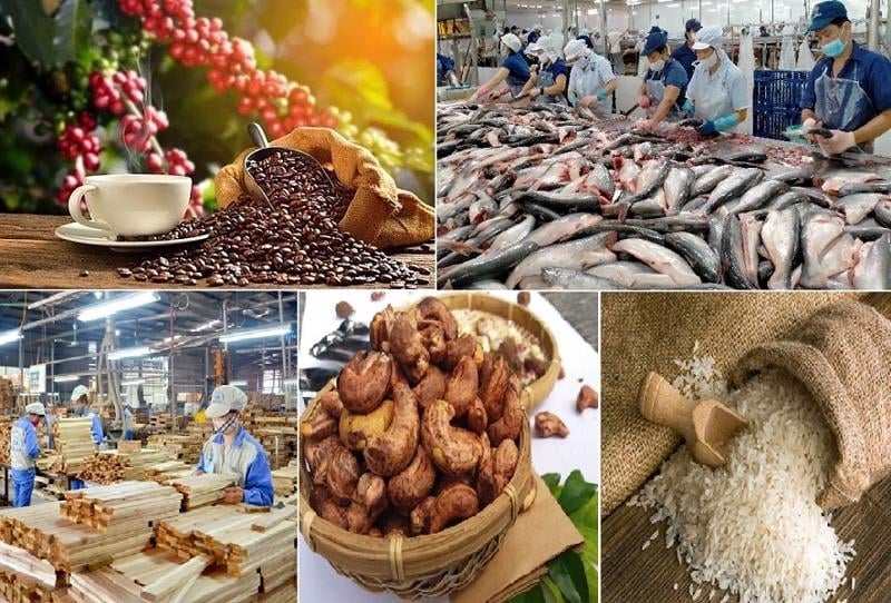GDP khu vực nông, lâm nghiệp và thủy sản ước tính 7 tháng đầu năm, xuất khẩu đạt 42,8 tỷ USD, tăng 7,5%. Ảnh: Tùng Đinh.