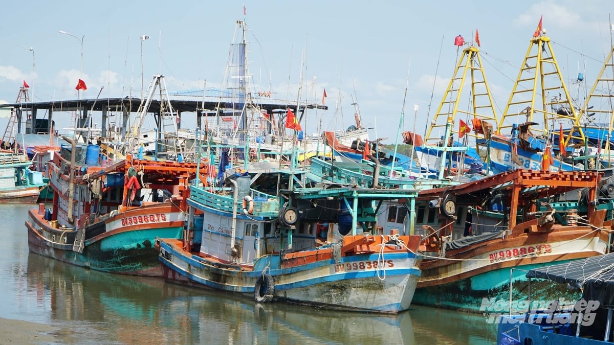 Việc số hóa 'lý lịch' tàu cá giúp cơ quan chức năng minh bạch hóa dữ liệu, nâng cao hiệu quả truy xuất nguồn gốc và đáp ứng các khuyến nghị của Ủy ban châu Âu (EC) về chống khai thác IUU. Ảnh: Lê Bình. Việc số hóa 'lý lịch' tàu cá giúp cơ quan chức năng minh bạch hóa dữ liệu, nâng cao hiệu quả truy xuất nguồn gốc và đáp ứng các khuyến nghị của Ủy ban châu Âu (EC) về chống khai thác IUU. Ảnh: Lê Bình.