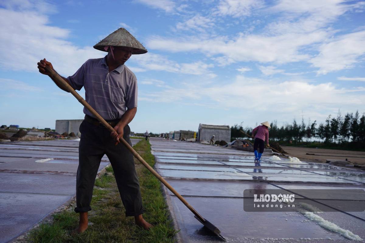 Về Ninh Bình xem diêm dân cõng nắng kiếm thu nhập