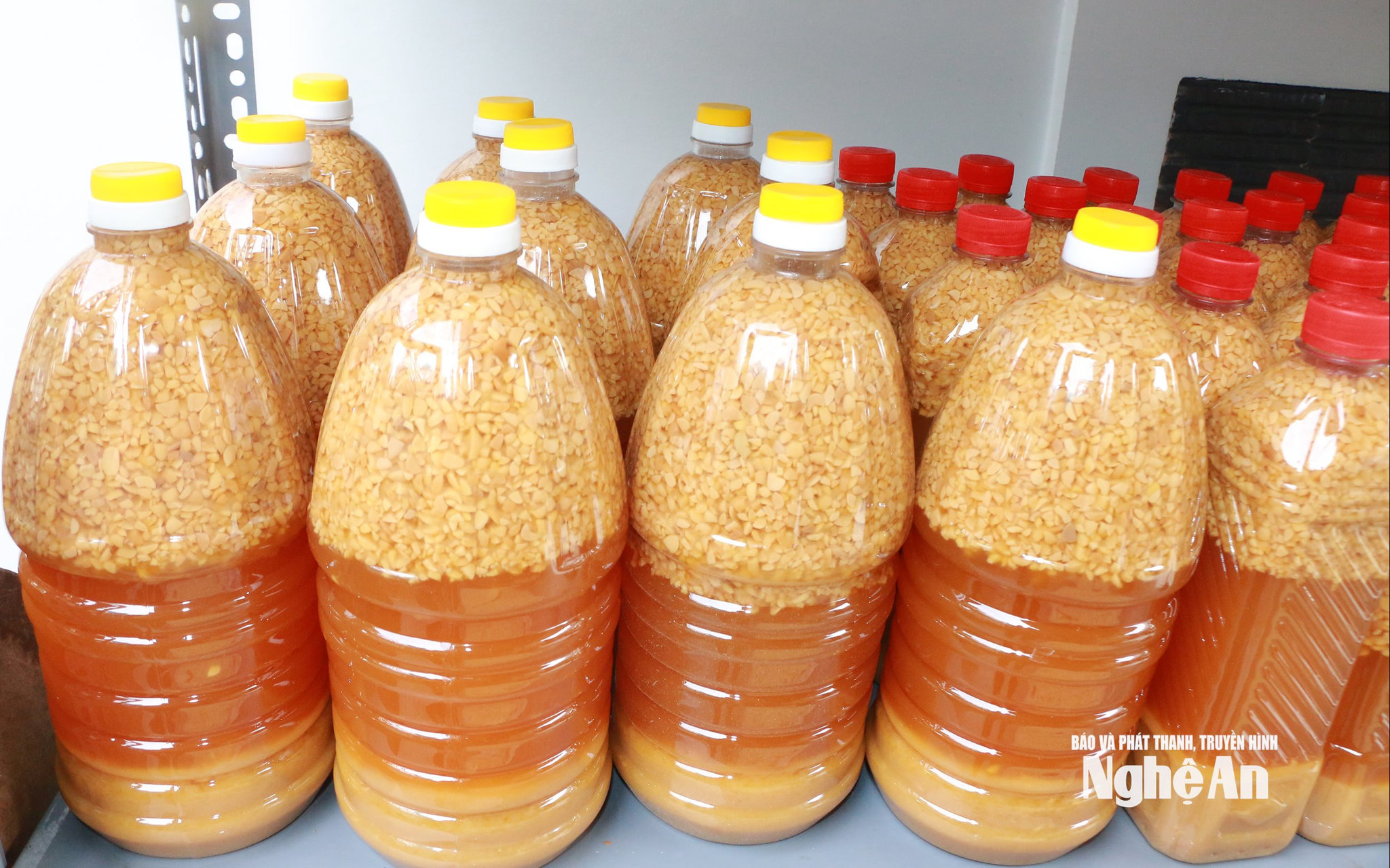 Những chai tương có phân thành 3 lớp rõ rệt; Lớp đậu nổi phía trên, lớp nước trong ở giữa và lớp mốc lắng dưới đáy. Ảnh KL