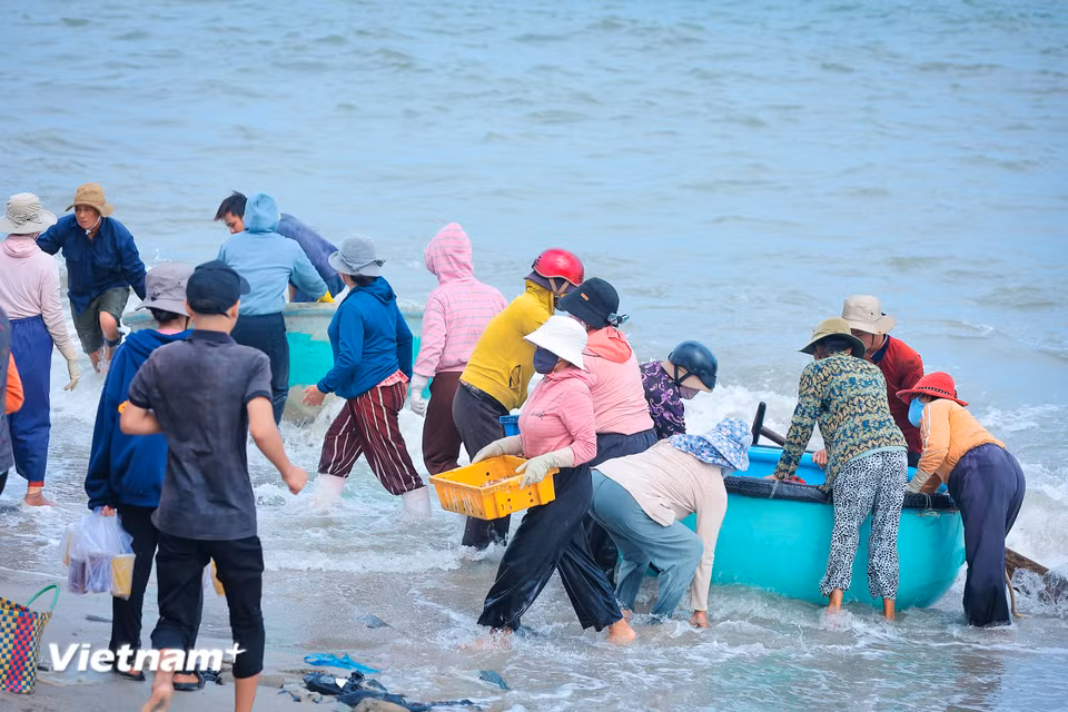 Làng cá truyền thống Vĩnh Tân: "Mặn mòi vị biển" giữa dòng chảy hiện đại Từng chiếc thuyền thúng, thuyền gỗ cập bờ trong niềm hân hoan của người dân làng chài. (Ảnh: Hoài Nam/Vietnam+)