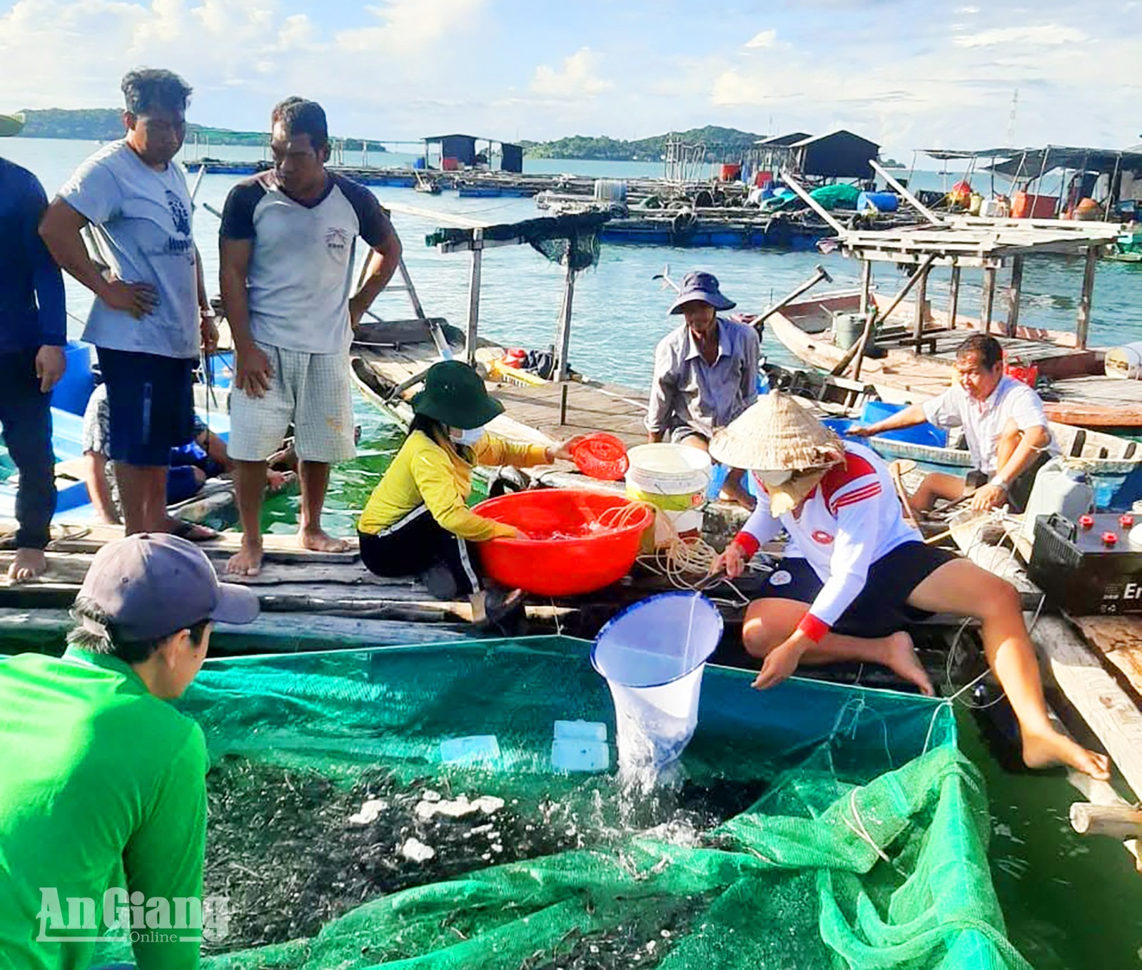 Ngư dân Tiên Hải bám biển