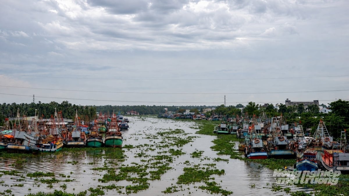 Nhiều tàu cá về neo đậu cặp hai bên bờ sông Cái Bé dài ngày chưa có tín hiệu vươn khơi do khai thác gặp khó khăn, thiếu lao động đi biển. Ảnh: Trung Chánh. Nhiều tàu cá về neo đậu cặp hai bên bờ sông Cái Bé dài ngày chưa có tín hiệu vươn khơi do khai thác gặp khó khăn, thiếu lao động đi biển. Ảnh: Trung Chánh.