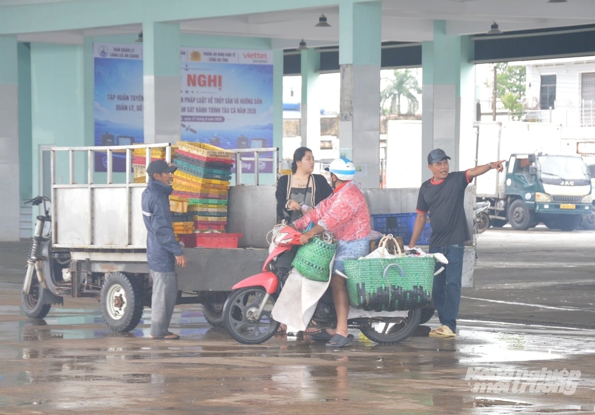 Cảnh vắng tàu, sản lượng thủy sản bốc dỡ tại cảng cá Tắc Cậu ngày càng giảm, do nghề biển đang gặp nhiều khó khăn. Ảnh: Trung Chánh. Cảnh vắng tàu, sản lượng thủy sản bốc dỡ tại cảng cá Tắc Cậu ngày càng giảm, do nghề biển đang gặp nhiều khó khăn. Ảnh: Trung Chánh.