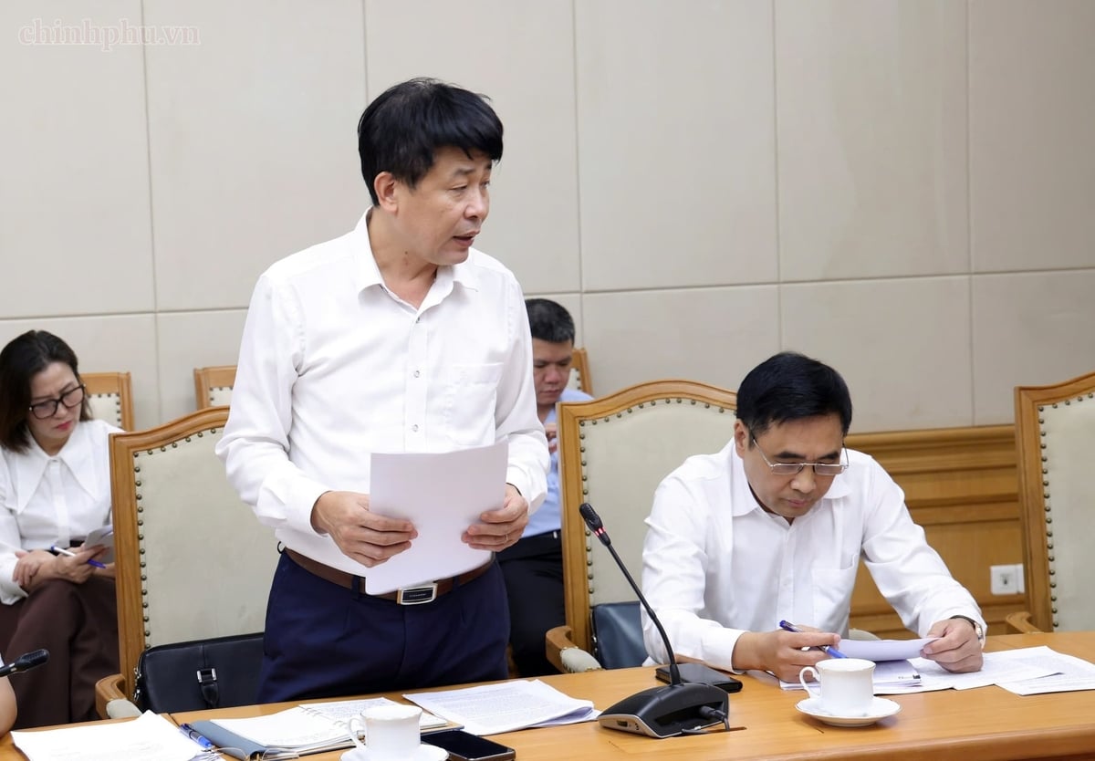 Đại diện Bộ NN-MT báo cáo tại cuộc làm việc. Ảnh: chinhphu.vn. 