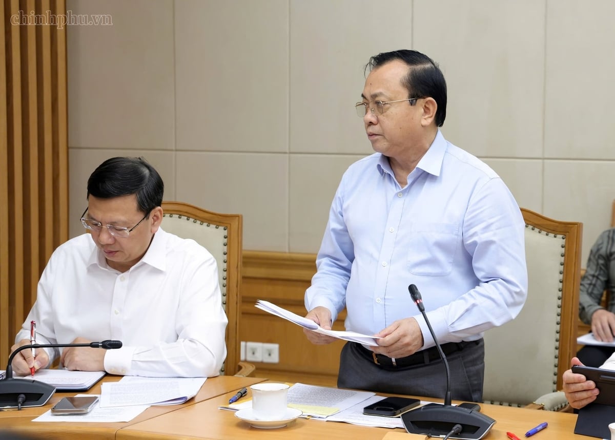 Thứ trưởng Bộ Tài chính Lê Tấn Cận phát biểu tại cuộc làm việc. Ảnh: chinhphu.vn.