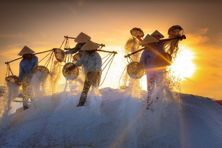 Bài 10: Muối quan trọng thế nào với chất lượng nước mắm truyền thống? - Ảnh 3