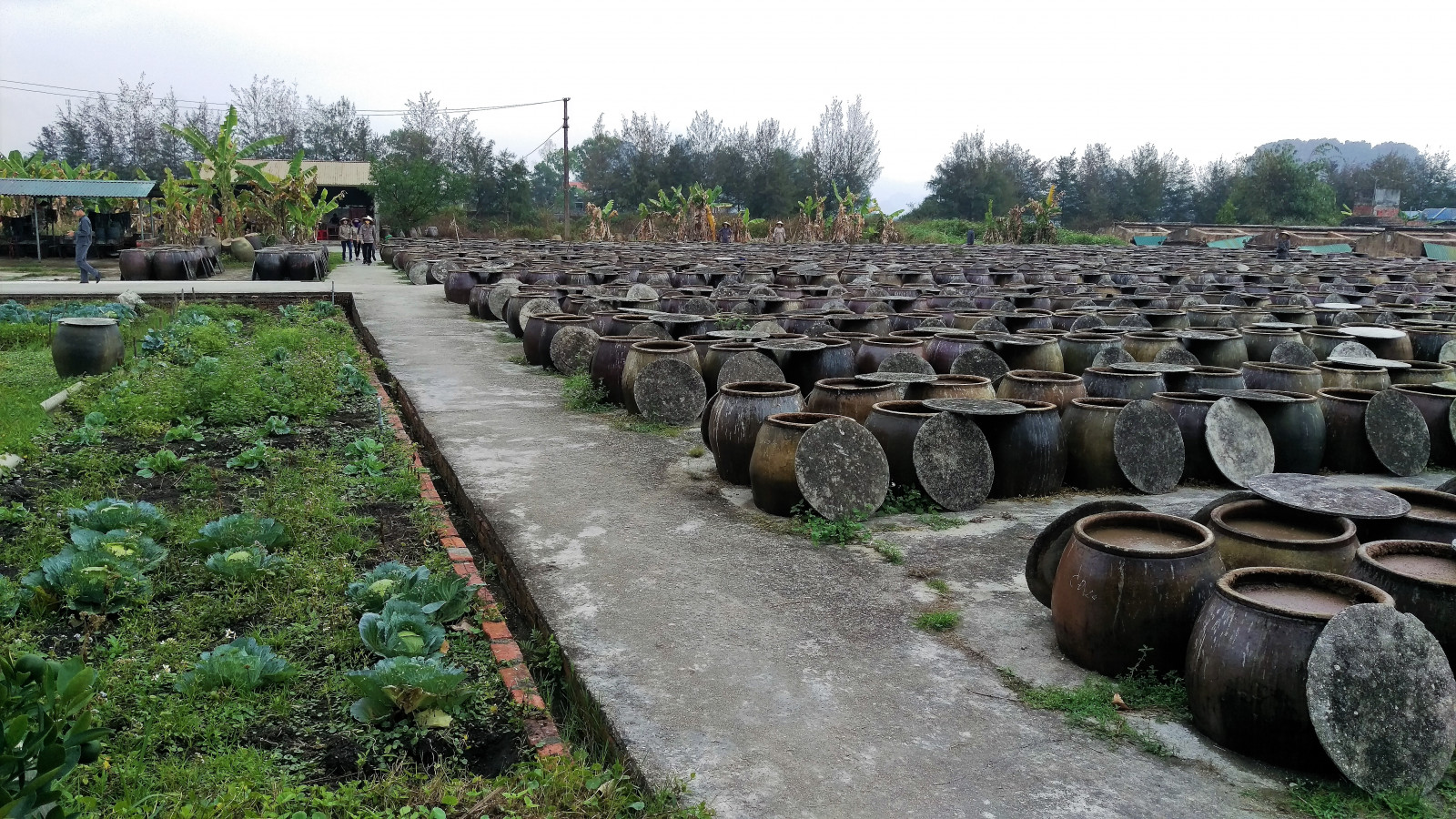 Bài 3: Triển vọng và thách thức to lớn nào đối với nước mắm truyền thống? - Ảnh 2