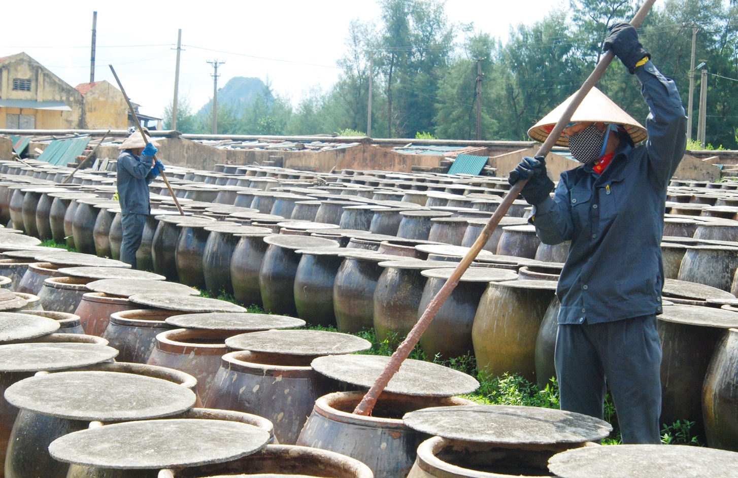 Bài 5: Nước mắm truyền thống Cát Hải, Vân Đồn: Khắc khoải chờ hồi xuân - Ảnh 1