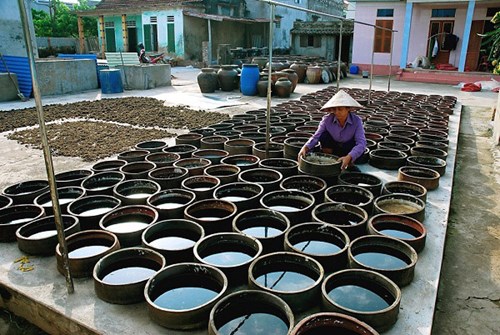 Bài 9: Nước mắm truyền thống miền Trung: Trôi nổi theo luồng cá cơm - Ảnh 1
