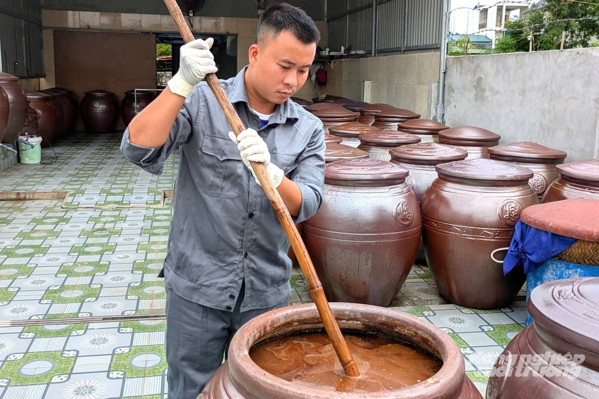 Hàng trăm chum sành được cơ sở của anh Năm sử dụng để ủ chượp, giữ phương pháp làm nước mắm truyền thống. Ảnh: Trung Quân.
