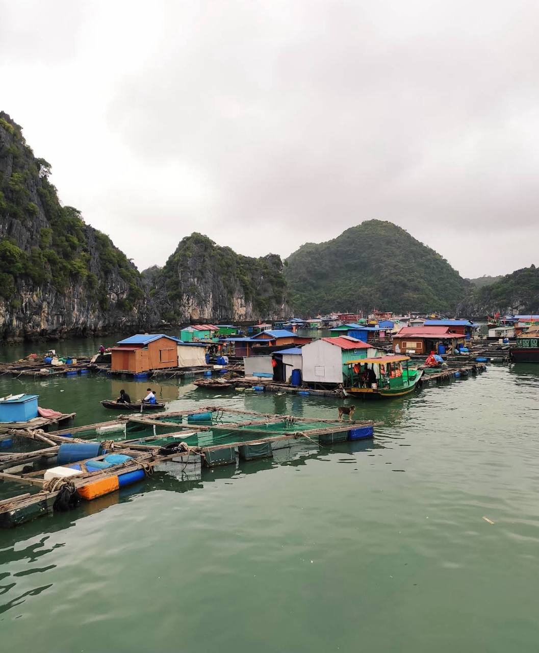 Việt Nam có làng chài lâu hơn kim tự tháp Ai Cập: Đào lên được 88 đầu cá biển, giờ vẫn 300 hộ sống trên mặt nước - áº¢nh 10.